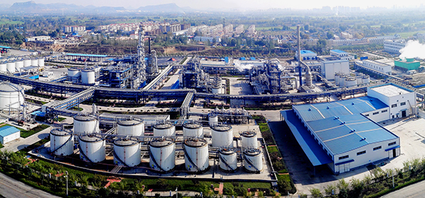 Panoramic view of plant