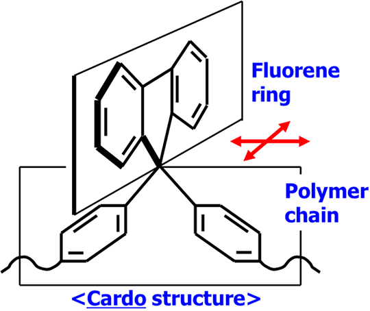 Cardo Structure